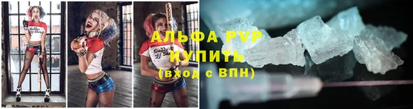 винт Алзамай