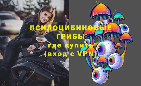 винт Алзамай